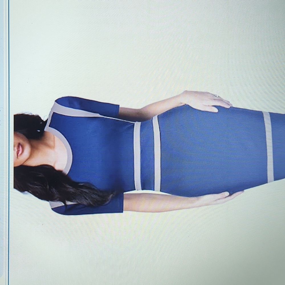Miusol Woman's Scoop Neck Optical Illusion Business Bodycon Dress Size LargeNWOT